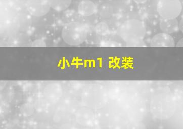 小牛m1 改装